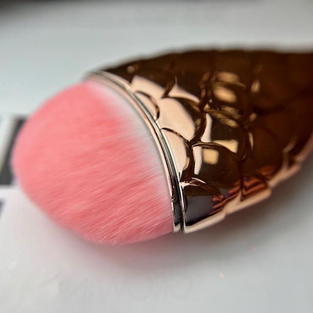Fish brush for cleaning dust - Image 3